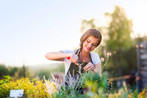 Professional decking services in Footscray for modern outdoor spaces