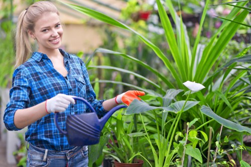 Reusable garden items prepared for charity donation