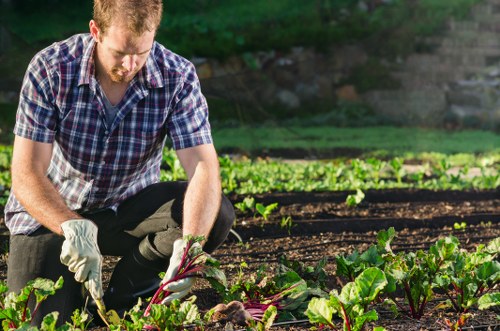 Gardening worker applying safe work practices in a residential garden