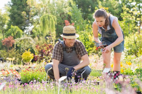 Healthy green lawn care in Footscray with neatly cut grass