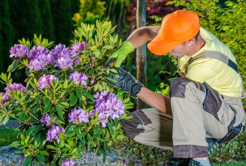 Gardeners Footscray improving a suburban front garden