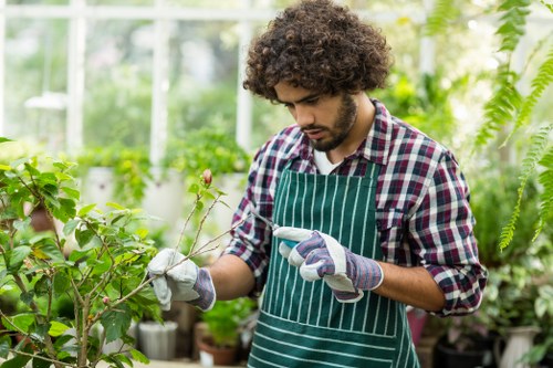 People using an accessible gardening website in Footscray