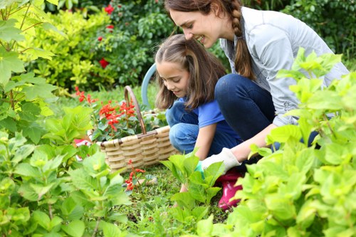 Hedge trimming and lawn care for a Footscray garden
