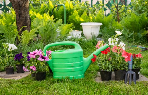 Garden clearance work in Footscray with green waste removal