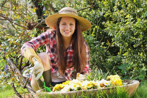 Residential courtyard and hedge maintenance in Footscray