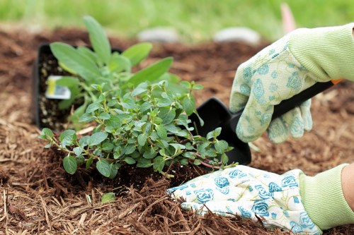 Low-carbon van used for sustainable garden services
