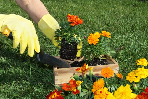 Organic material recovery at a local transfer station