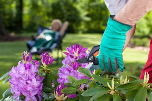 Screen reader support for Gardeners Footscray web content