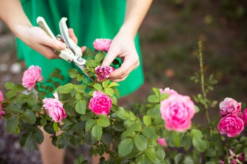 Eco-friendly garden maintenance and recycling in Footscray