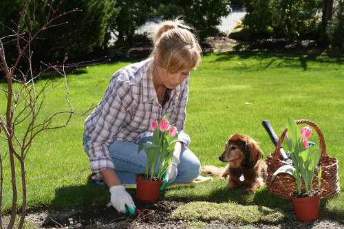 Edging and mowing a tidy Footscray front yard