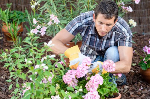 Supplier risk assessment and compliance review at Gardeners Footscray