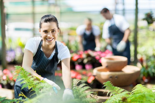 Professional garden cleanup in Footscray backyard