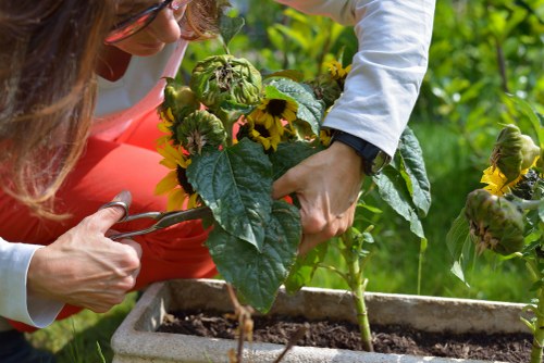 Inclusive access statement for Gardeners Footscray