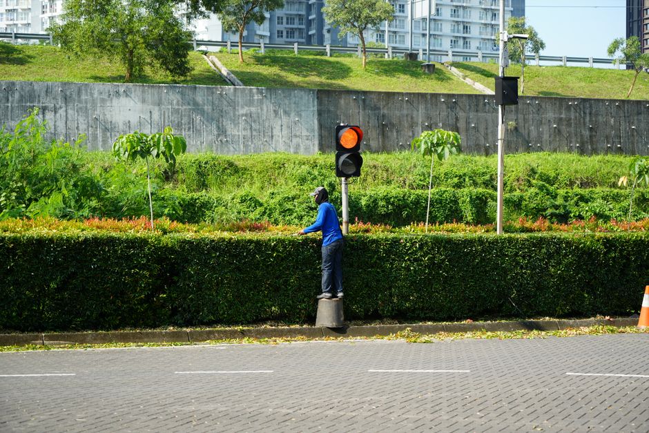 A gardener from Gardeners Foots Cray wearing a blue jacket and dark trousers is trimming a neatly maintained hedge along a paved street. The hedge is lush and green, with a smooth, even top, separatin