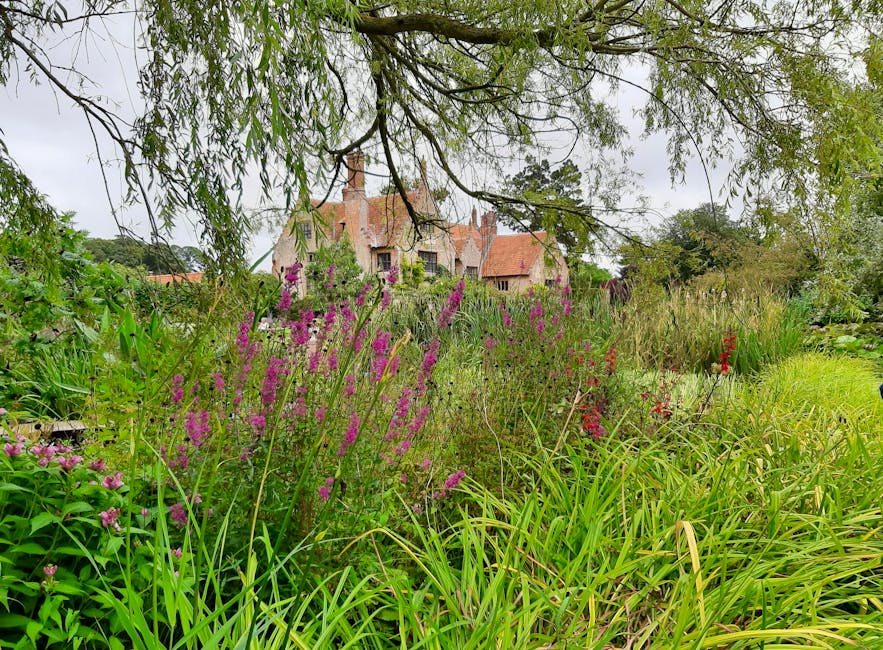 A lush garden scene showing a variety of plants and flowers in the foreground, including tall purple flowering plants, bright red blooms, and green grasses with long, slender leaves. A large tree with